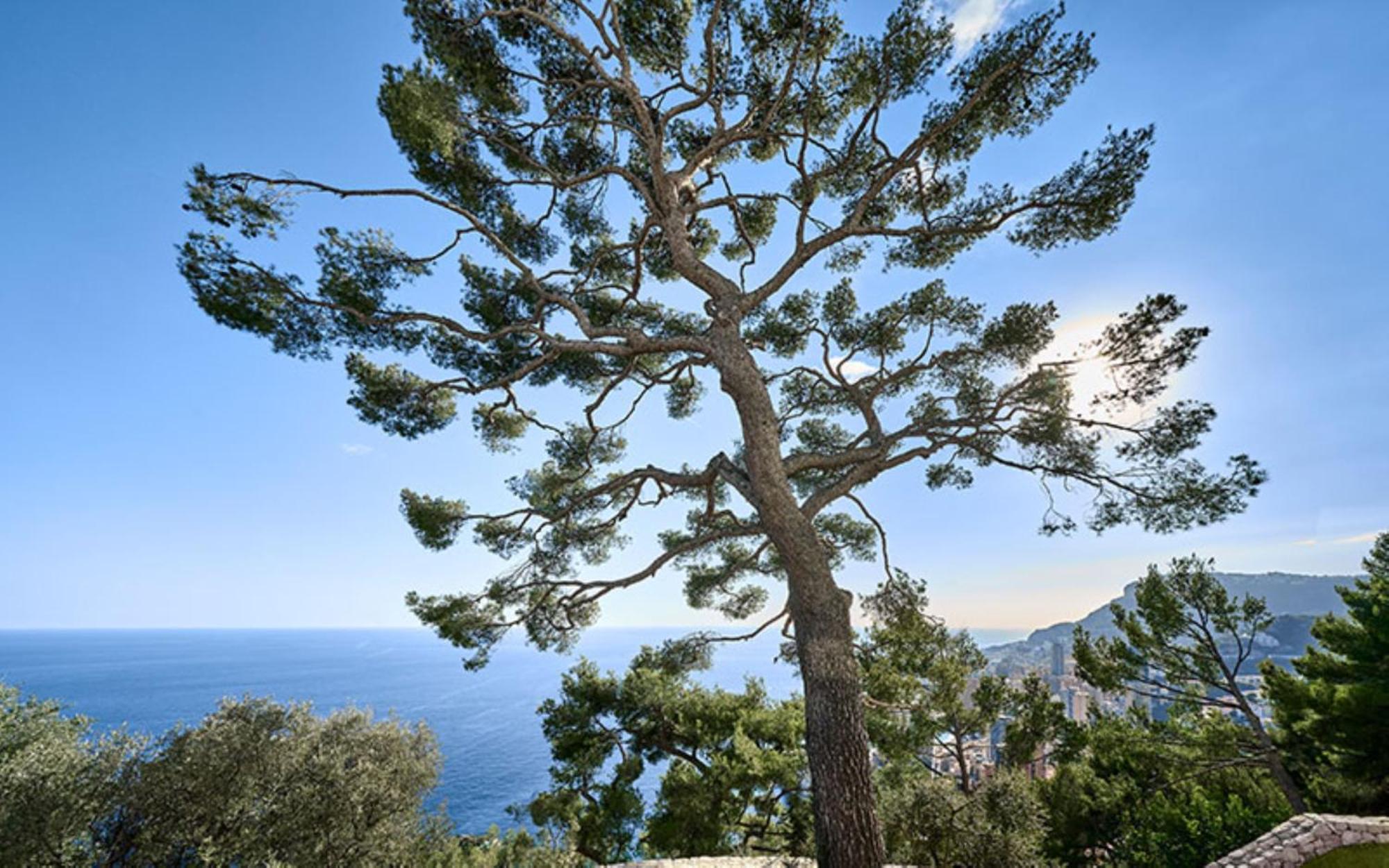 The Maybourne Riviera, Maybourne Hotel Collection Roquebrune-Cap-Martin Exteriör bild